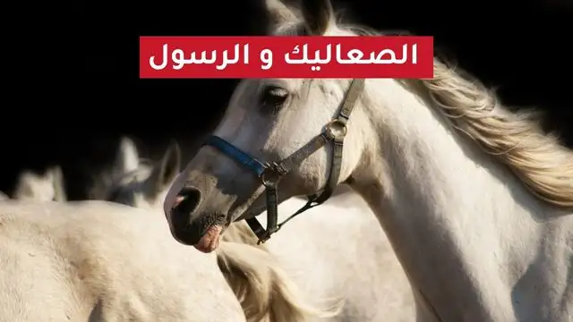 الصعاليك