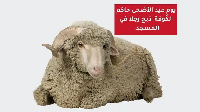أضحية العيد