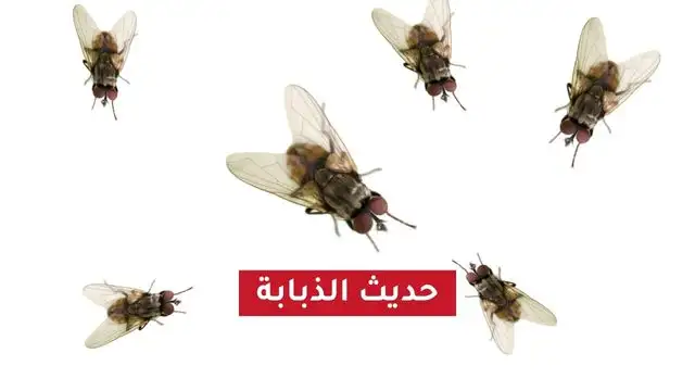 حديث الذبابة