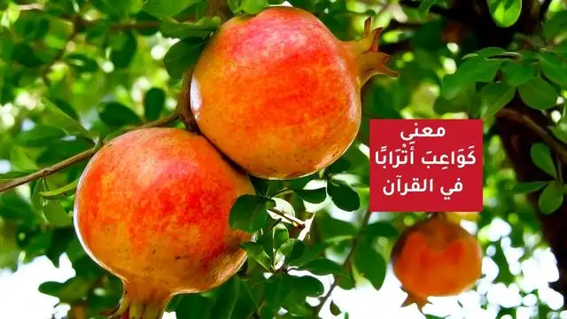 كواعب أترابا