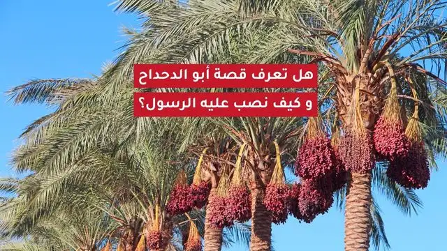 قصة أبو الدحداح مع الرسول