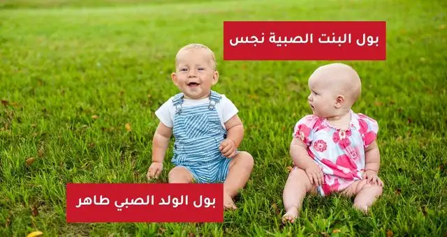 بول الولد الصبي طاهر وبول البنت الصبية نجس